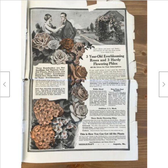 Antique Needlecraft Homemaker Newspaper 1917 Early Advertising Fashion History - Picture 3 of 10
